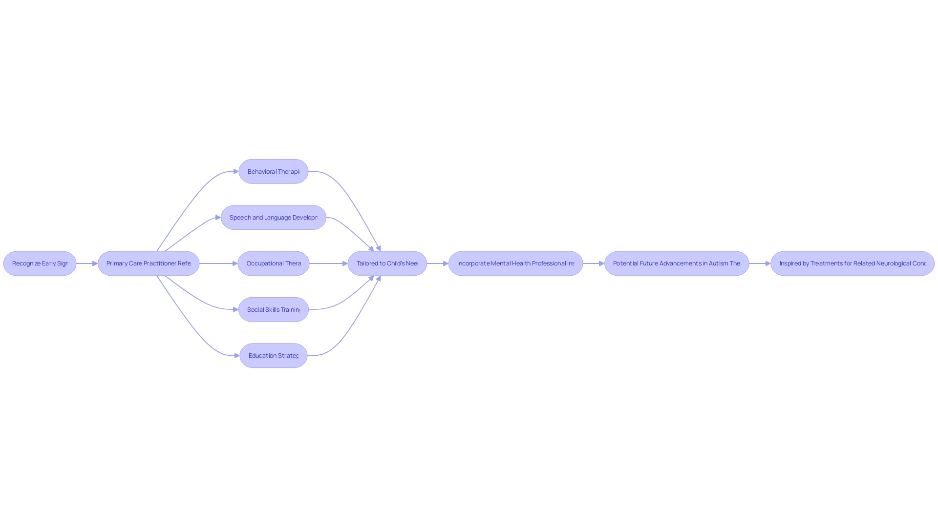 Flowchart of Autism Intervention Process