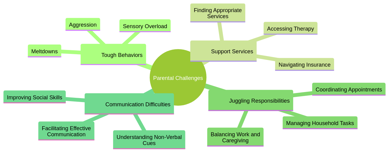 Mind Map: Key Challenges Faced by Parents in Supporting Children with Autism and ADHD