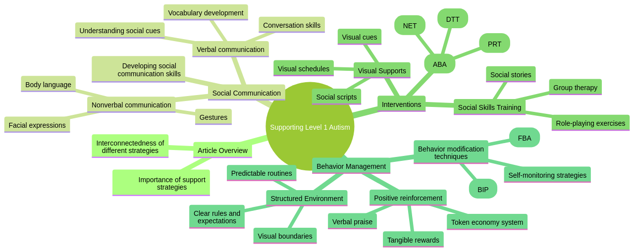 Mind Map: Overview of Strategies for Supporting Level 1 Autism