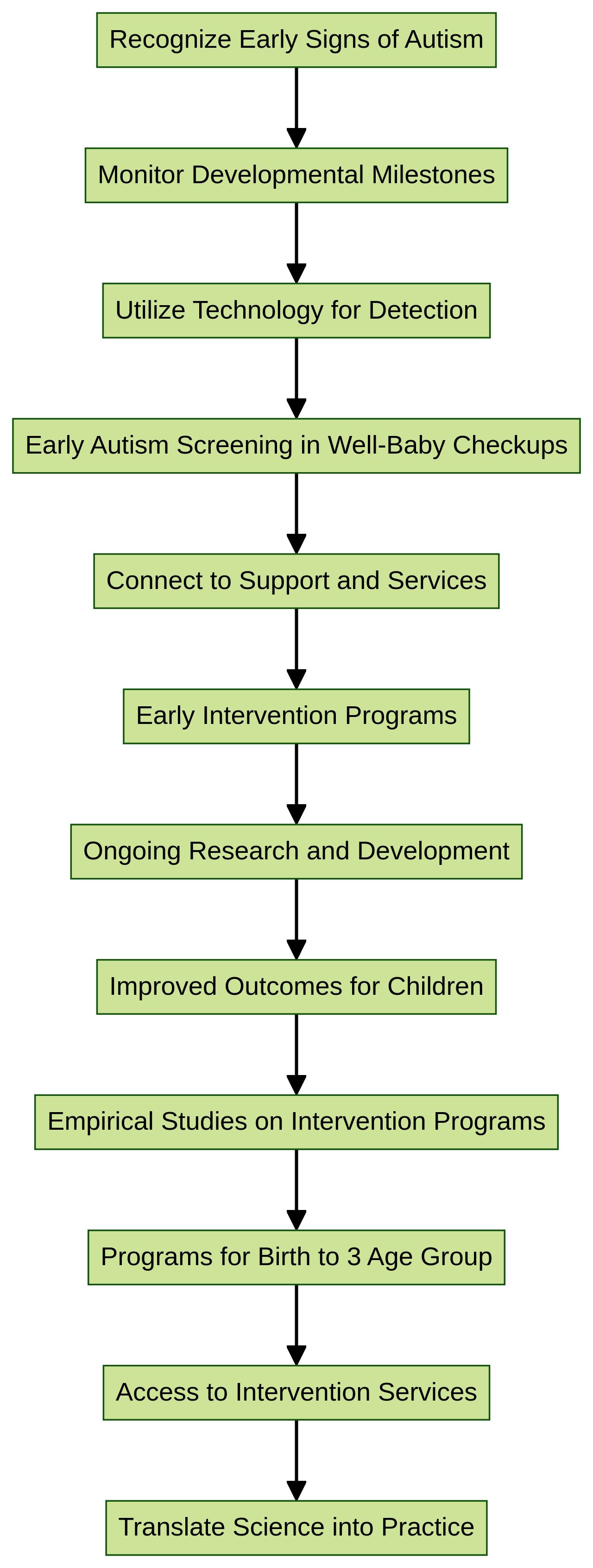 Flowchart: Early Autism Detection and Intervention Process