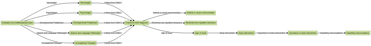 Flowchart: Autism Spectrum Disorder Diagnosis Process