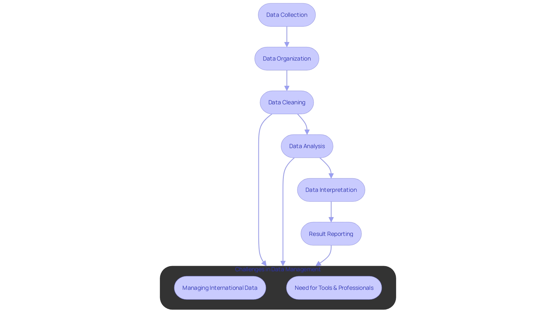 Flowchart: Data Management Process in Clinical Trials