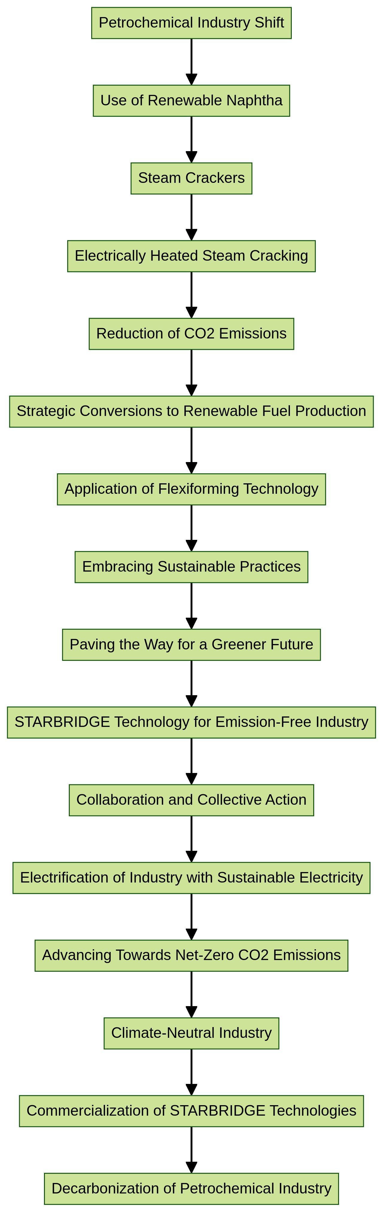 Flowchart: Transformation of the Petrochemical Industry towards Sustainability