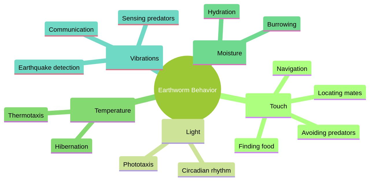 Mind Map of Earthworm Behavior and Sensory Inputs