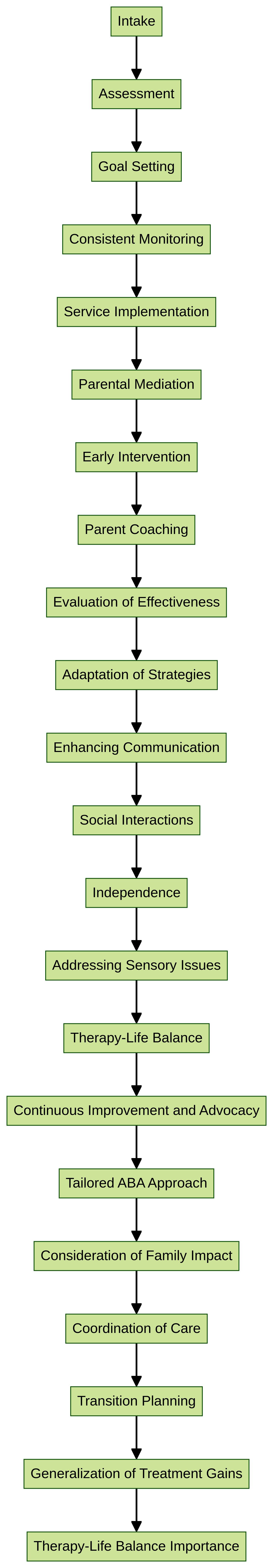 Flowchart: Autism Therapy Process