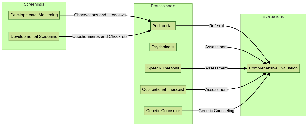 Flowchart: Process of Autism Diagnosis