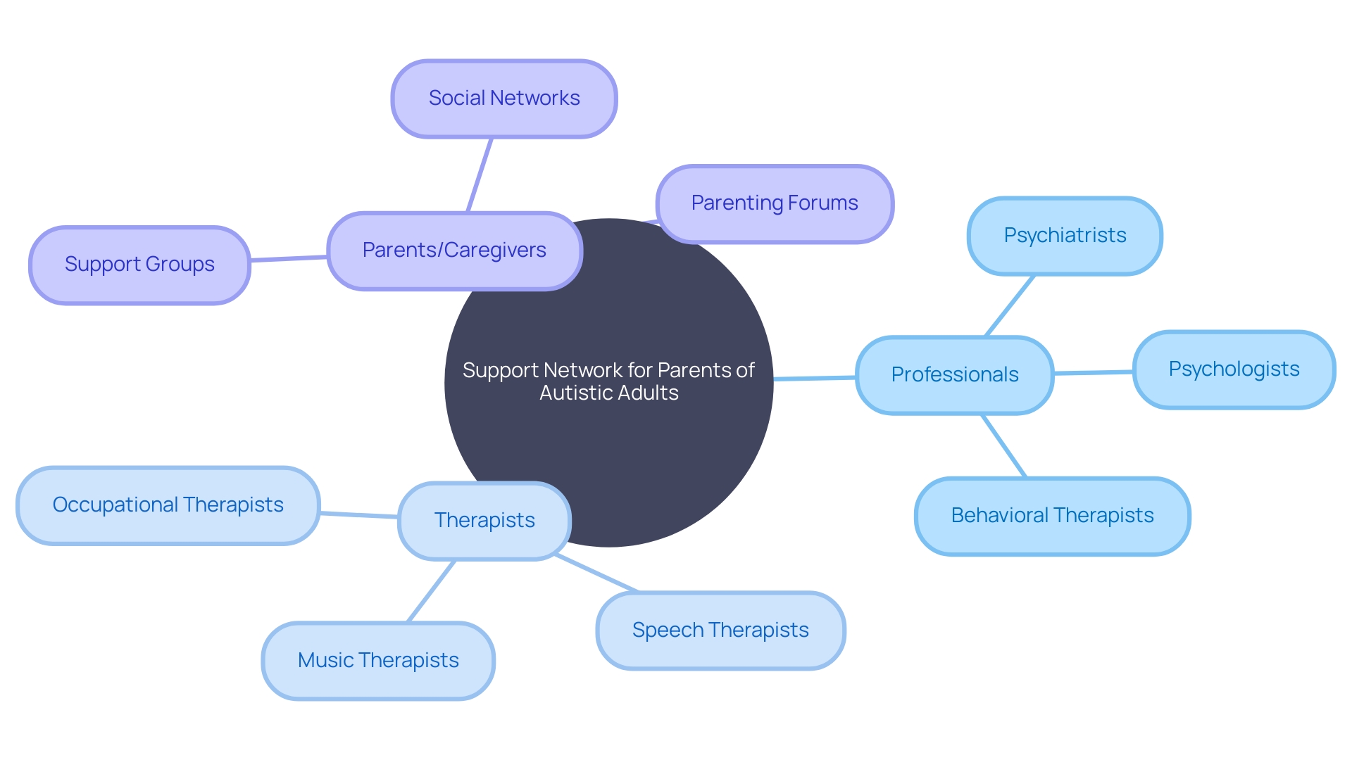 Support Network for Parents and Caregivers of Autistic Adults during Meltdowns