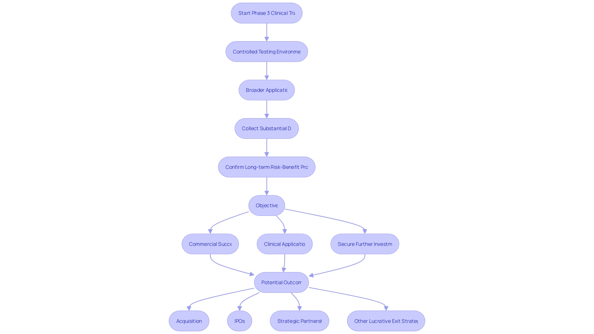 Flowchart: Phase 3 Clinical Trials Process