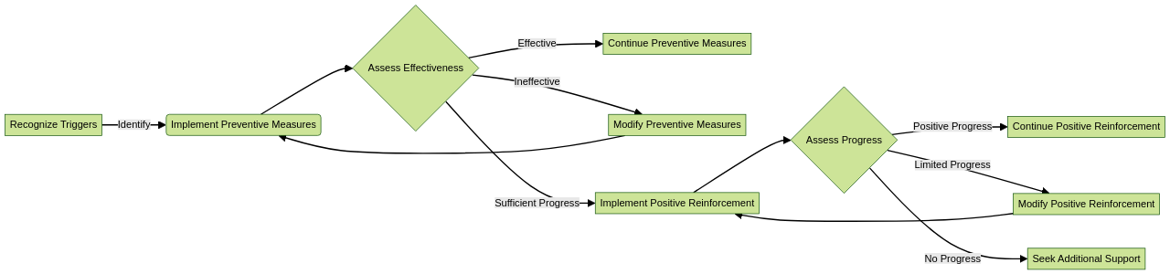 Effective Management of Challenging Behaviors in Children with Level 2 Autism