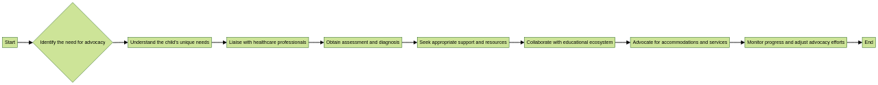 Flowchart of Parent Advocacy in Autism Assessment Process