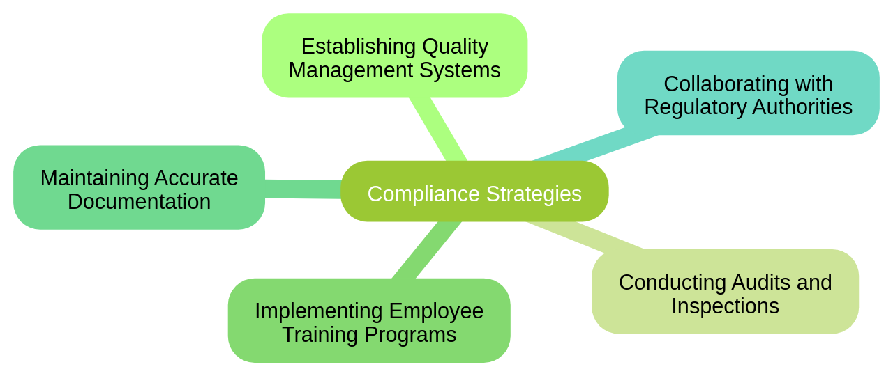 Mind Map of Compliance Strategies in the Pharmaceutical Industry