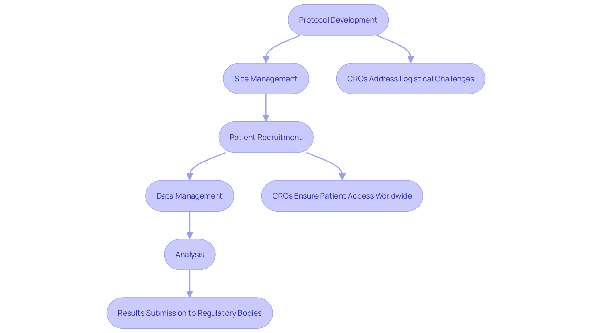 Flowchart: Clinical Trial Process