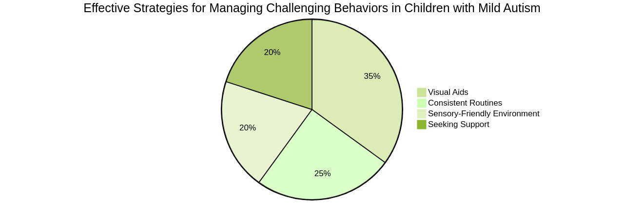 Exploring Effective Strategies for Managing Challenging Behaviors