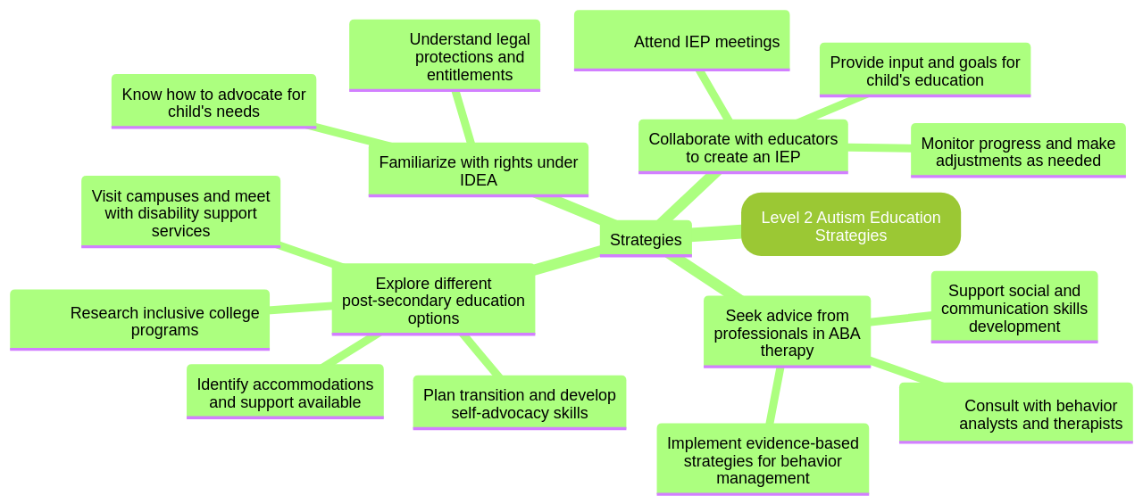 Mind Map: Strategies for Navigating Educational Systems for Level 2 Autism