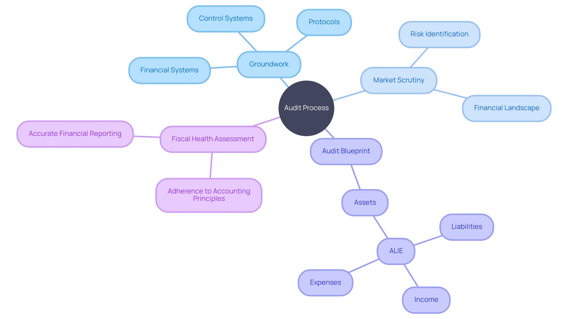 Auditing Journey: Mapping the Entity's Financial Landscape