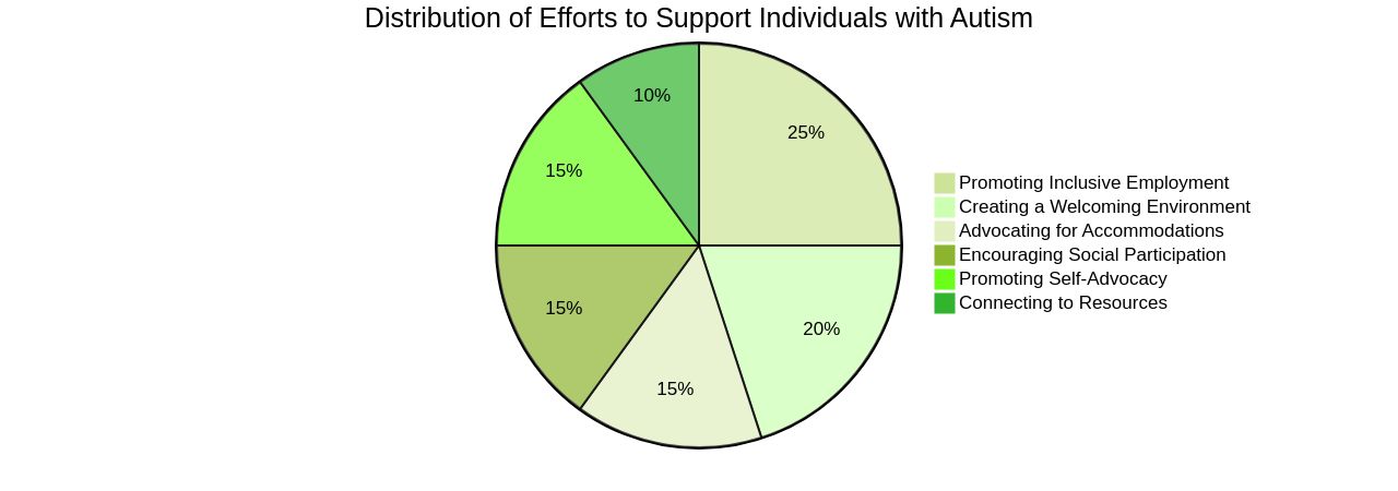 Distribution of Efforts to Support Individuals with Autism