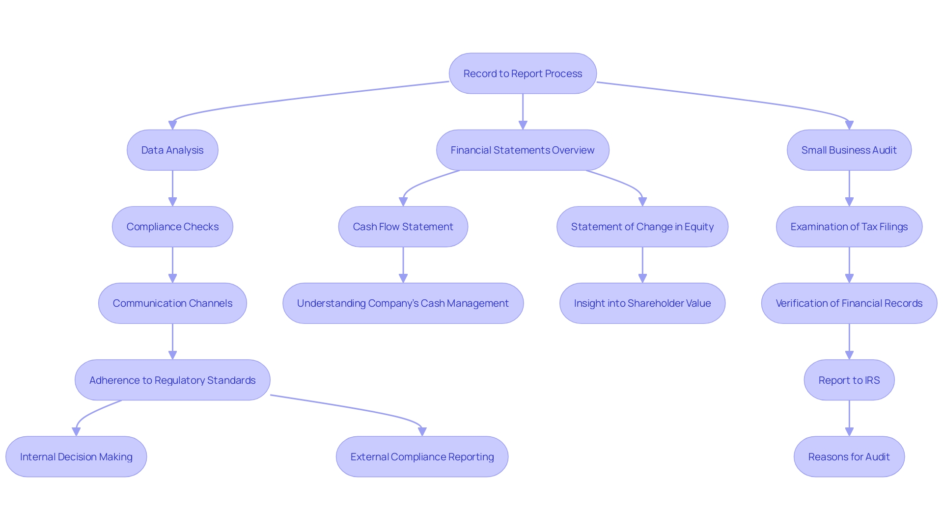 Flowchart: Process of Financial Auditing