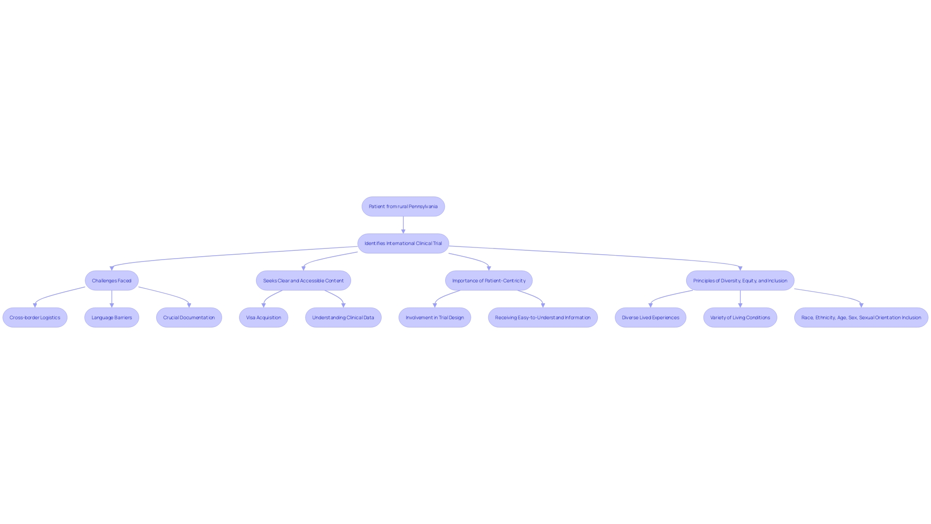 Flowchart: Patient Journey in an International Clinical Trial