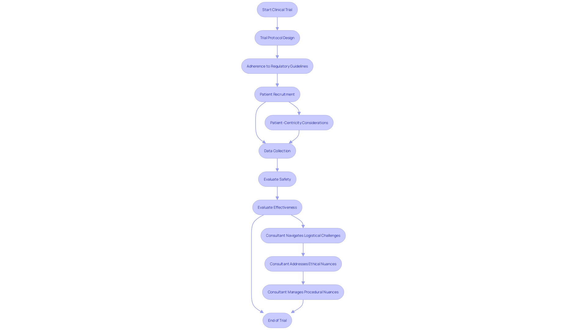 Flowchart: Clinical Trial Process