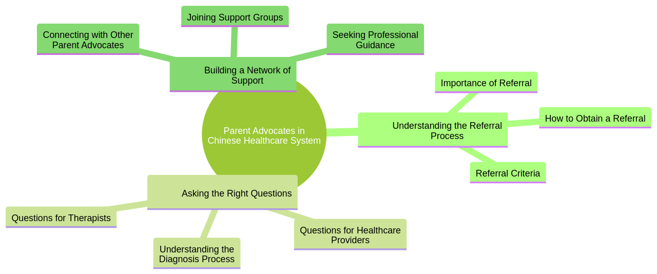 Mind Map: Strategies for Parent Advocates in the Chinese Healthcare System