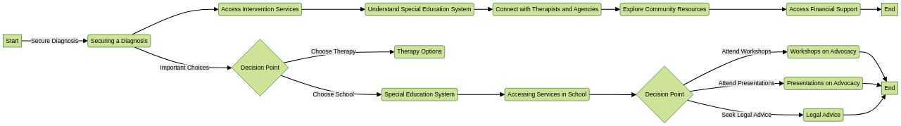 Advocacy Journey for Children with Level 3 Autism