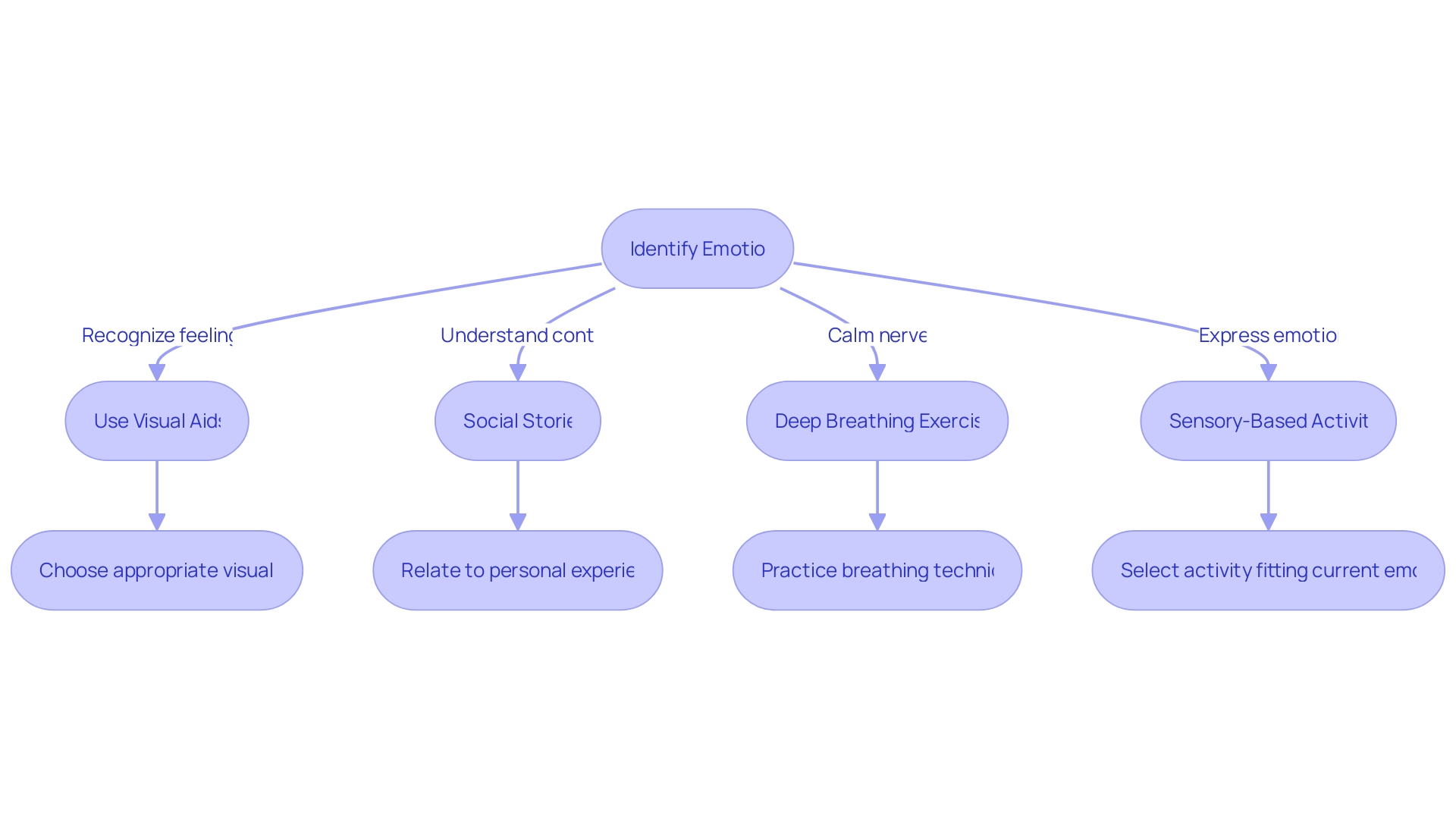 Flowchart: Strategies for Emotional Regulation in Individuals with Asperger's Syndrome