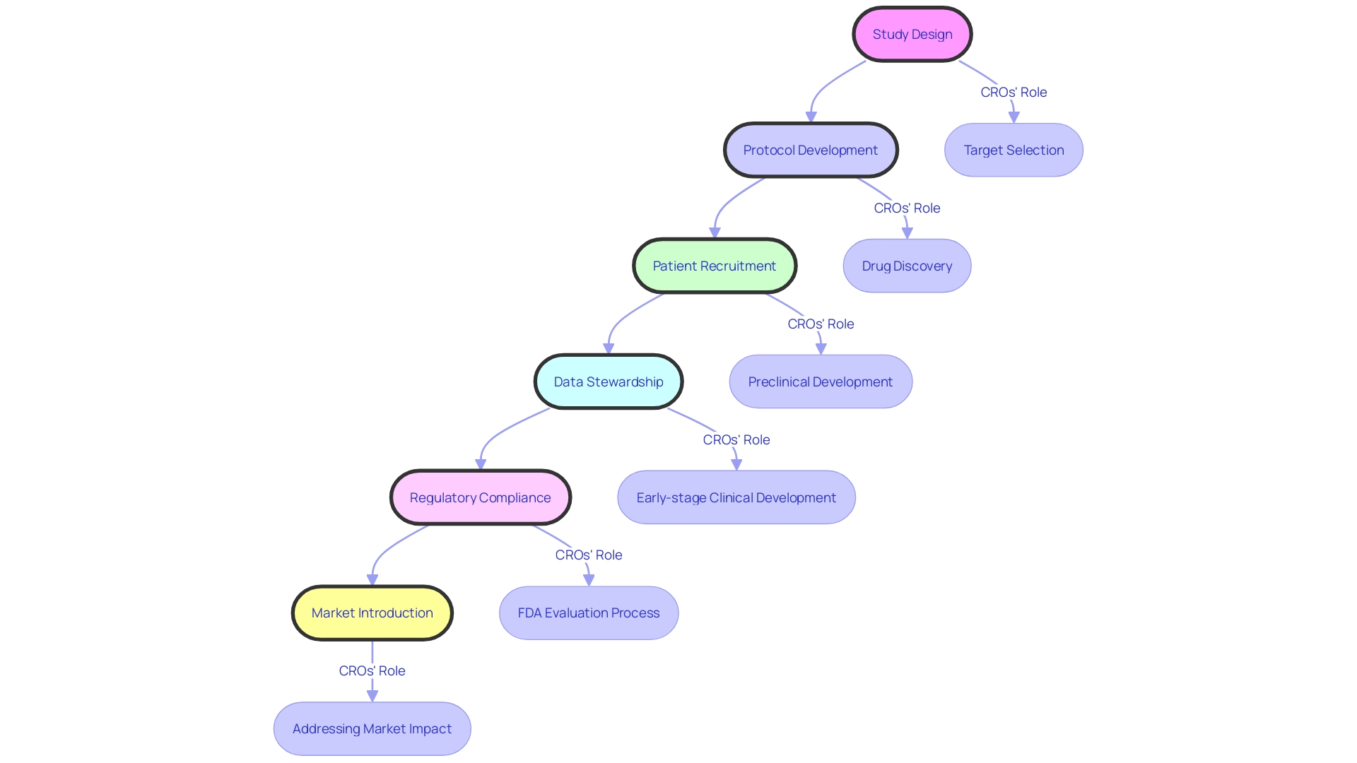 Flowchart of the Drug Development Process with CROs