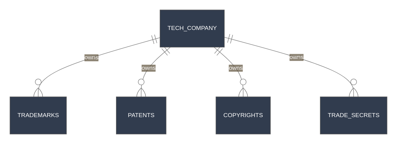 IP Portfolio Entity Relationship Diagram. The entity relationship diagram above shows the relationships between patents, trademarks, copyrights, trade secrets, and the tech company in an IP portfolio.