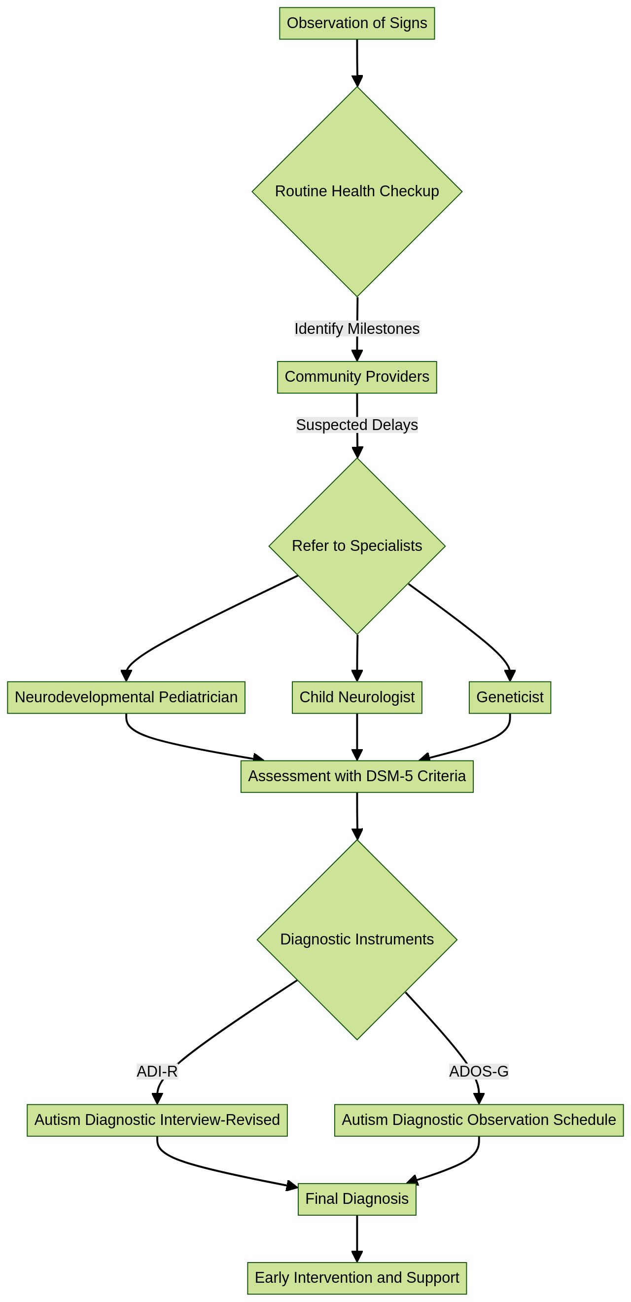 Flowchart: Autism Diagnosis Process