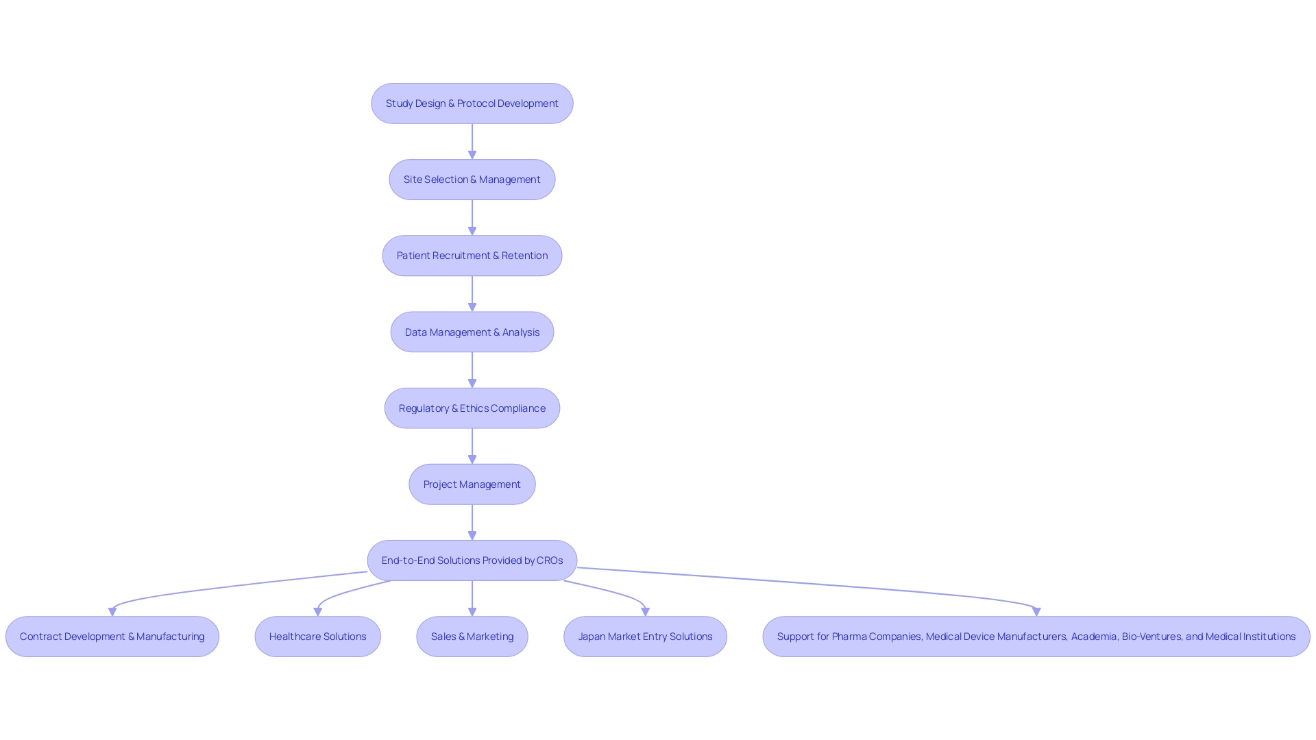 Flowchart of Clinical Trial Execution