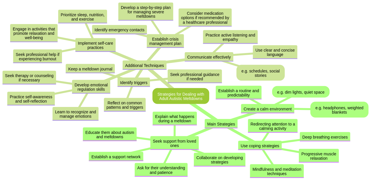 Mind Map: Strategies for Dealing with Adult Autistic Meltdowns