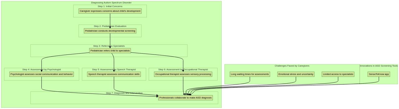 Flowchart of the Autism Spectrum Disorder (ASD) Diagnostic Process