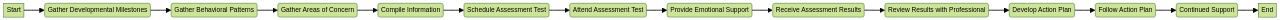 Flowchart: Strategies for Preparing for an Autism Assessment Test