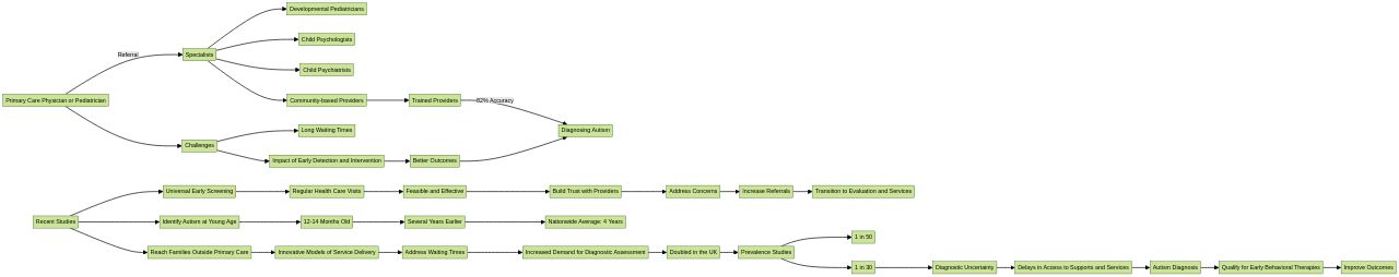 Flowchart: The Journey to Diagnosing Autism