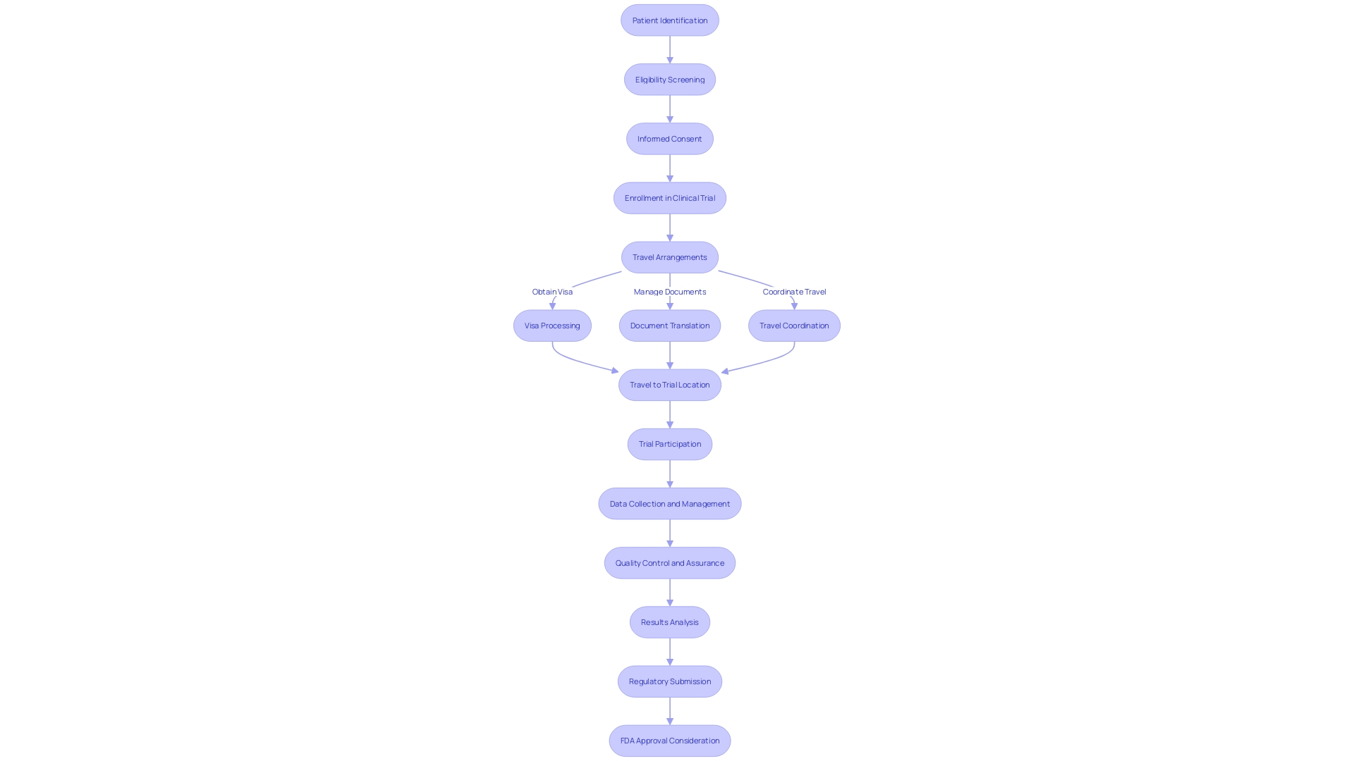 Flowchart: Clinical Trial Process