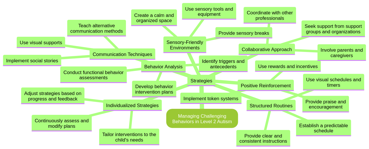 Mind Map of Strategies for Managing Challenging Behaviors in Level 2 Autism