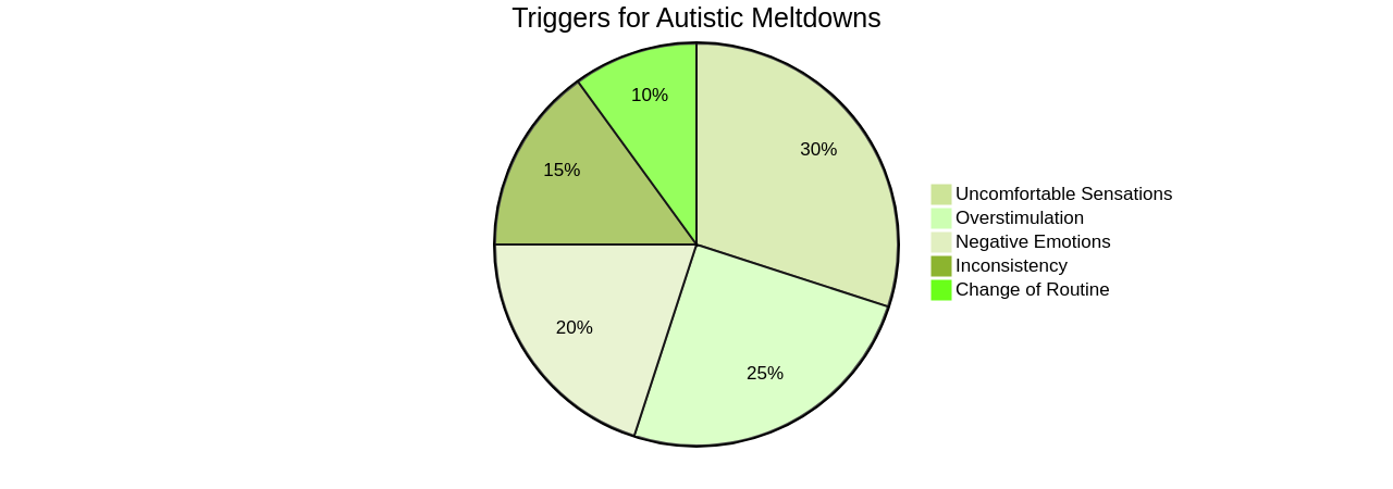 Common Triggers of Autistic Meltdowns