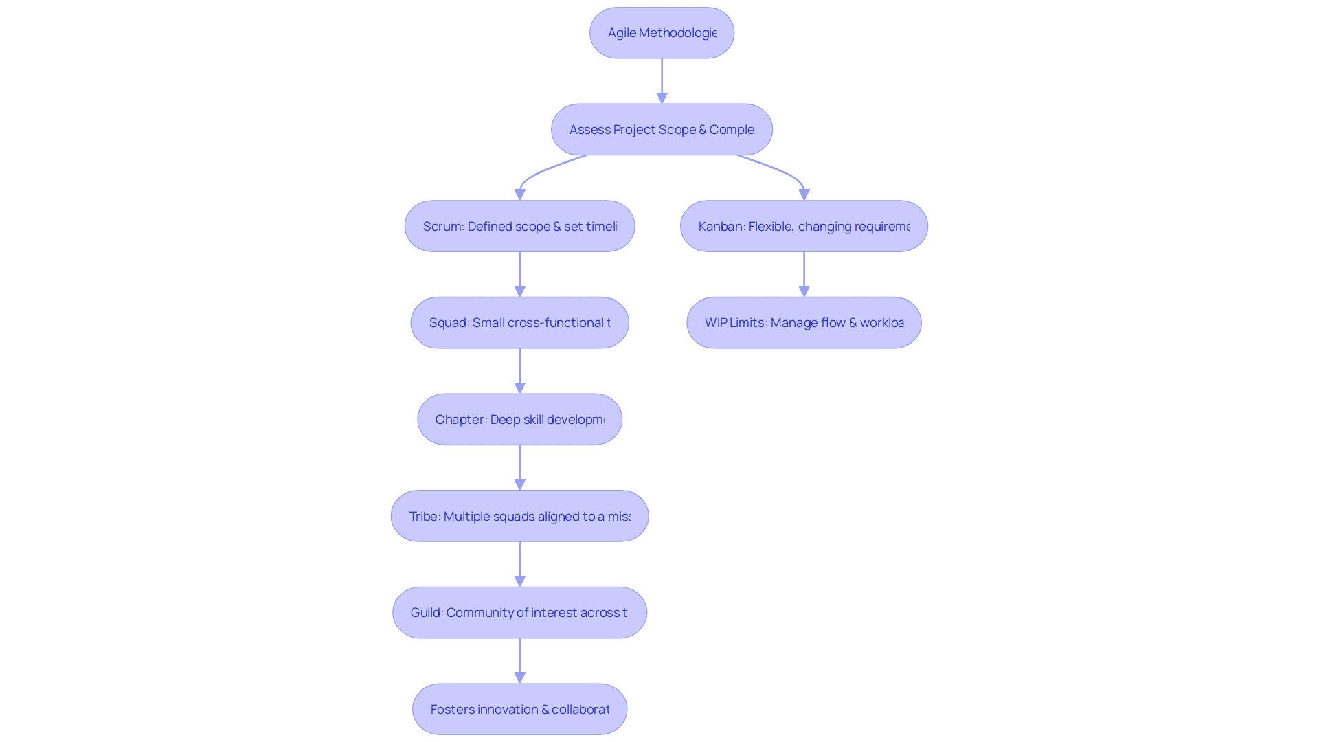 Flowchart: Agile Methodologies Team Structure