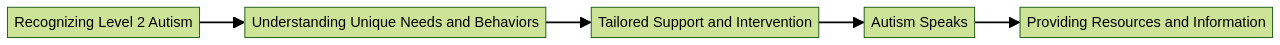 Flowchart: Understanding Autism Spectrum Level 2