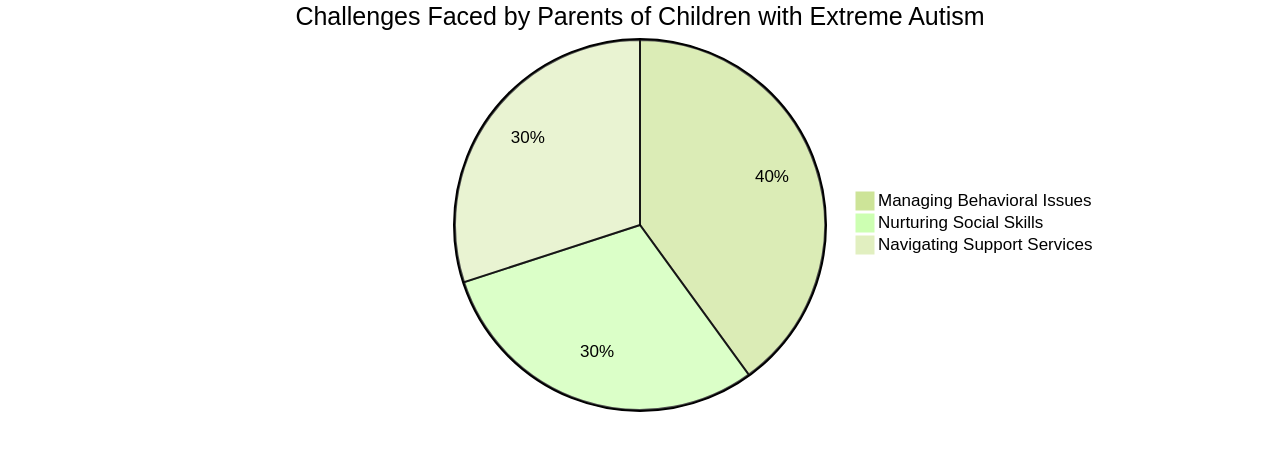 Key Challenges Faced by Parents of Children with Extreme Autism