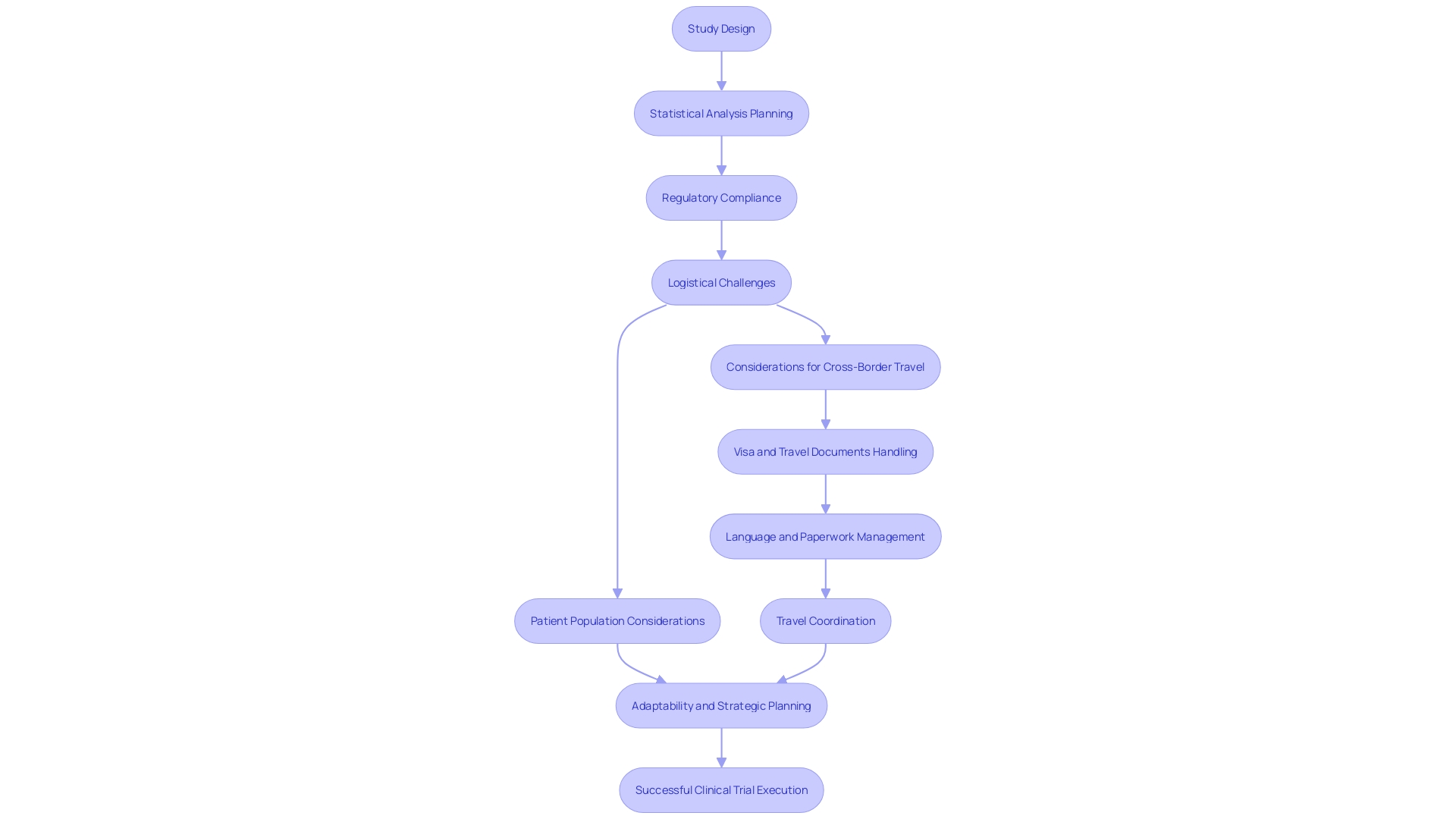 Flowchart: Clinical Trial Process