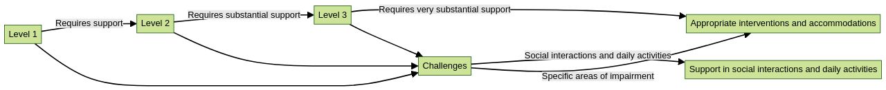 Levels of Autism Spectrum Disorder