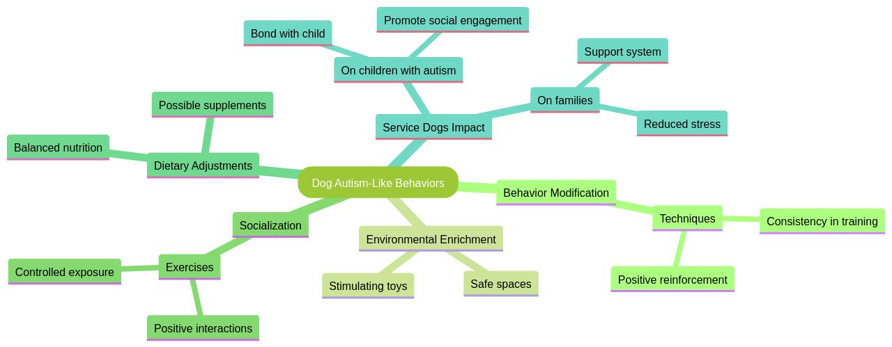 The Benefits of Holistic Care for Dogs with Autism-like Behaviors