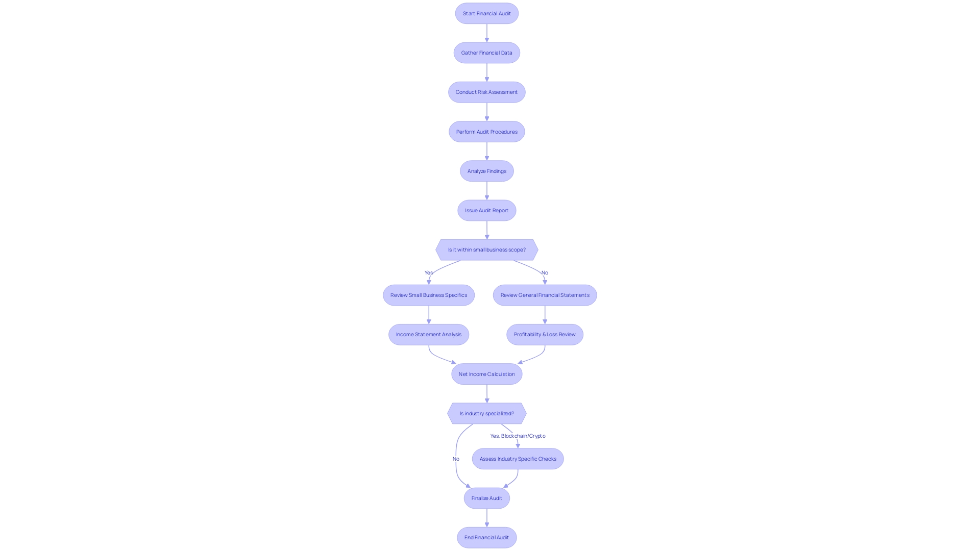 Financial Audit Process