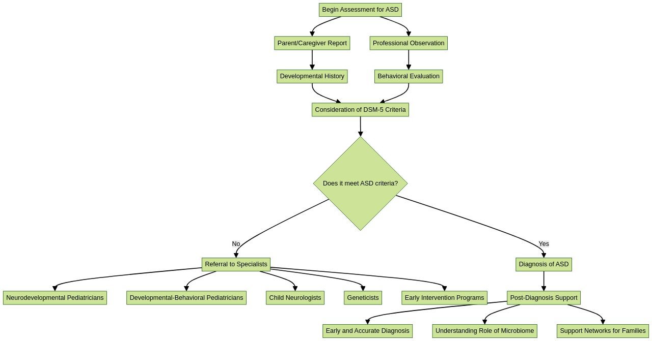 Flowchart: Diagnostic Process for Autism Spectrum Disorder (ASD)