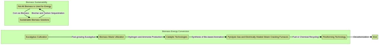 Flowchart of Biomass Energy Conversion Process