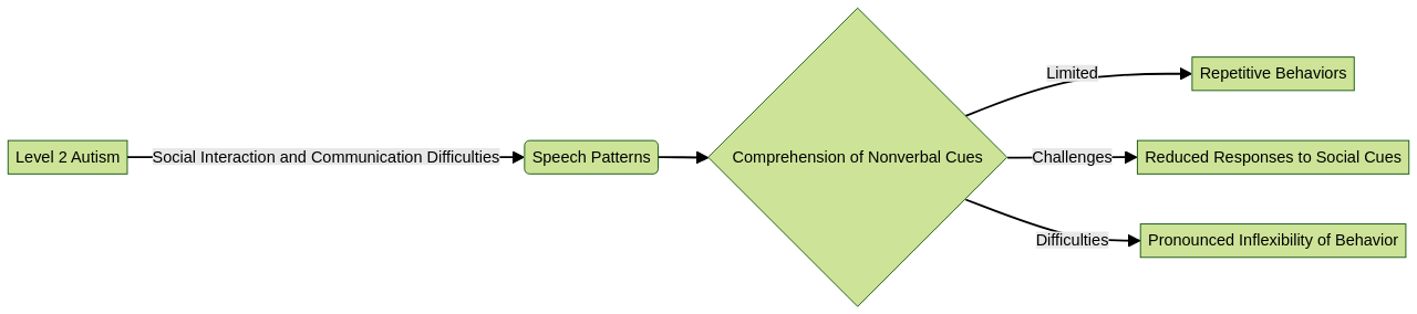 Flowchart of Level 2 Autism Characteristics and Symptoms