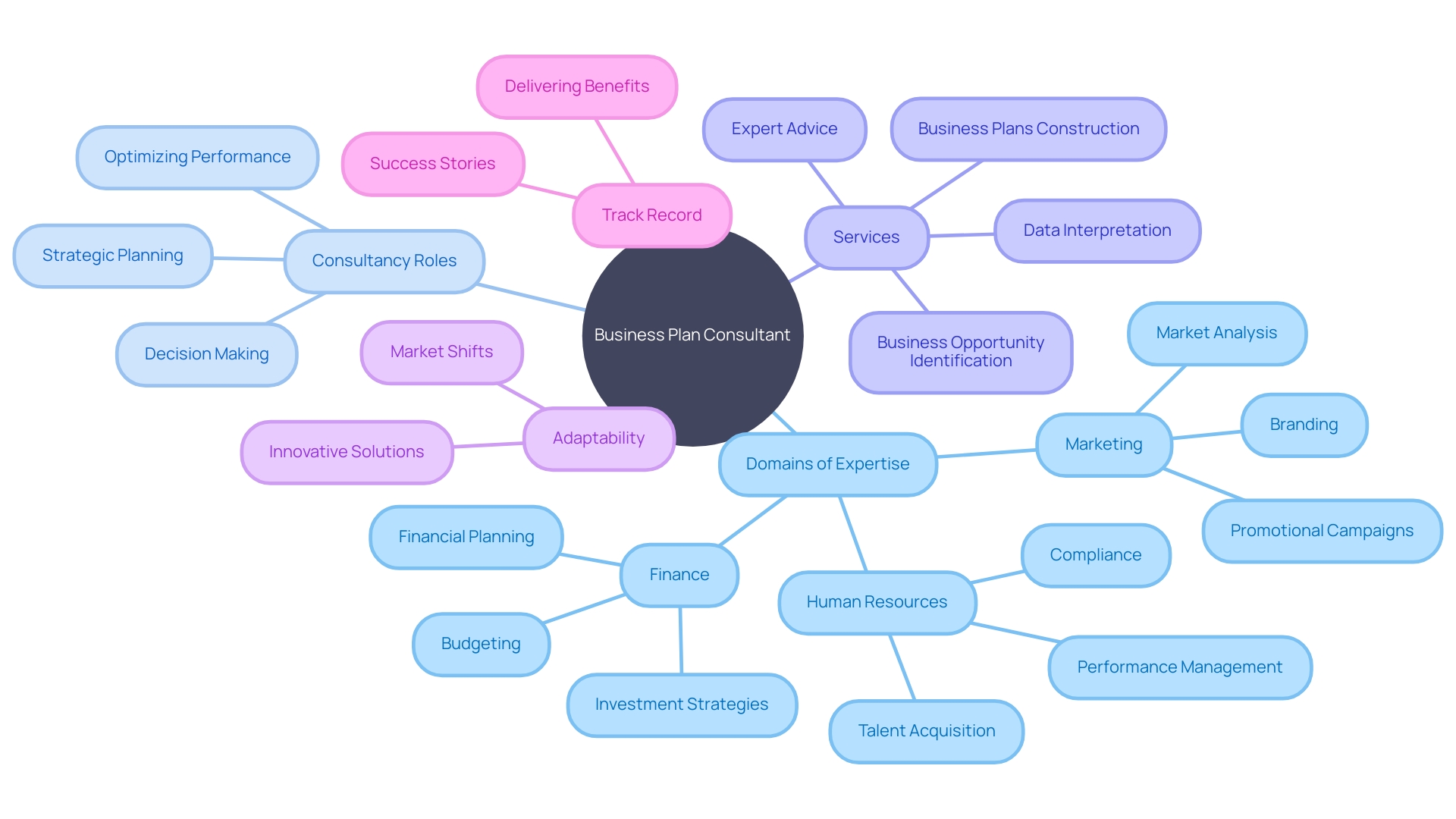 The Mindmap of Business Plan Consultant's Role and Expertise